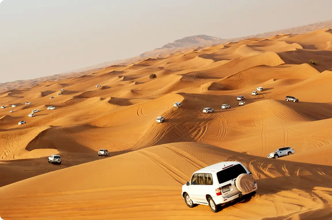 Full Day and Desert adventure providers in Qatar
