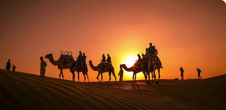 Best Overnight Desert Safari Providers in Qatar