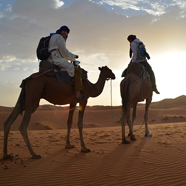 Desert adventure services in Qatar