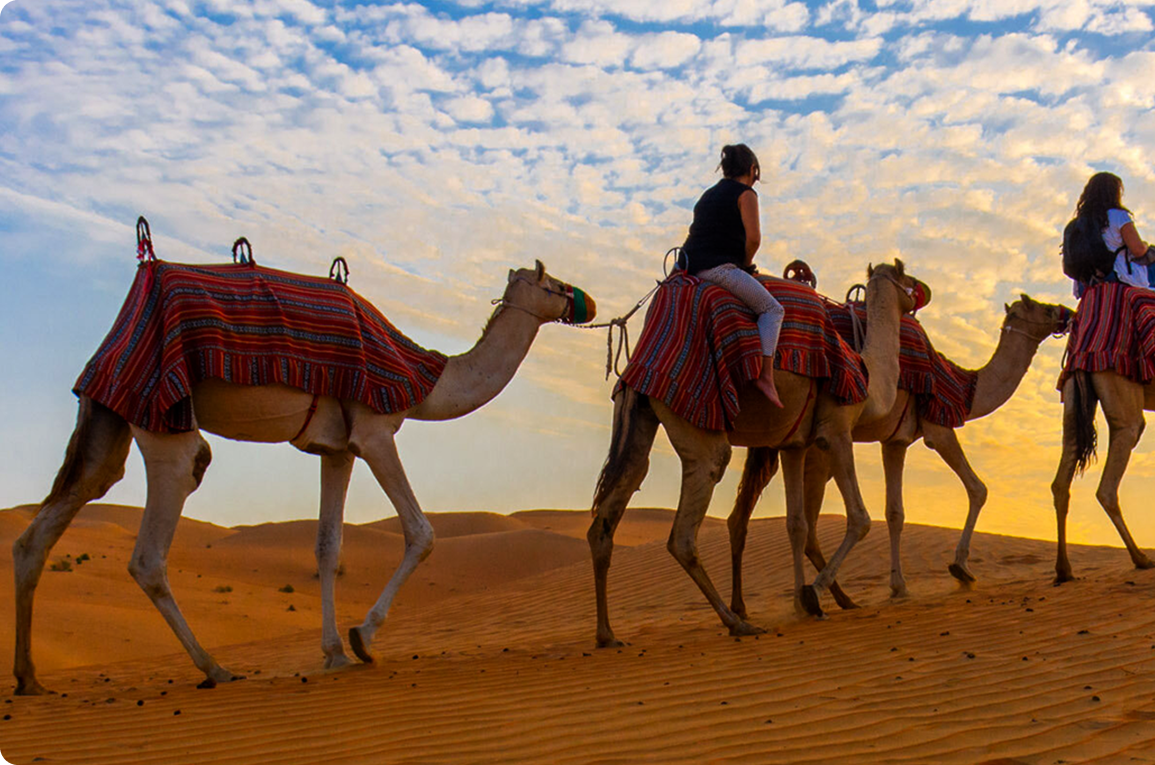 Best Overnight Desert Safari Providers in Qatar
