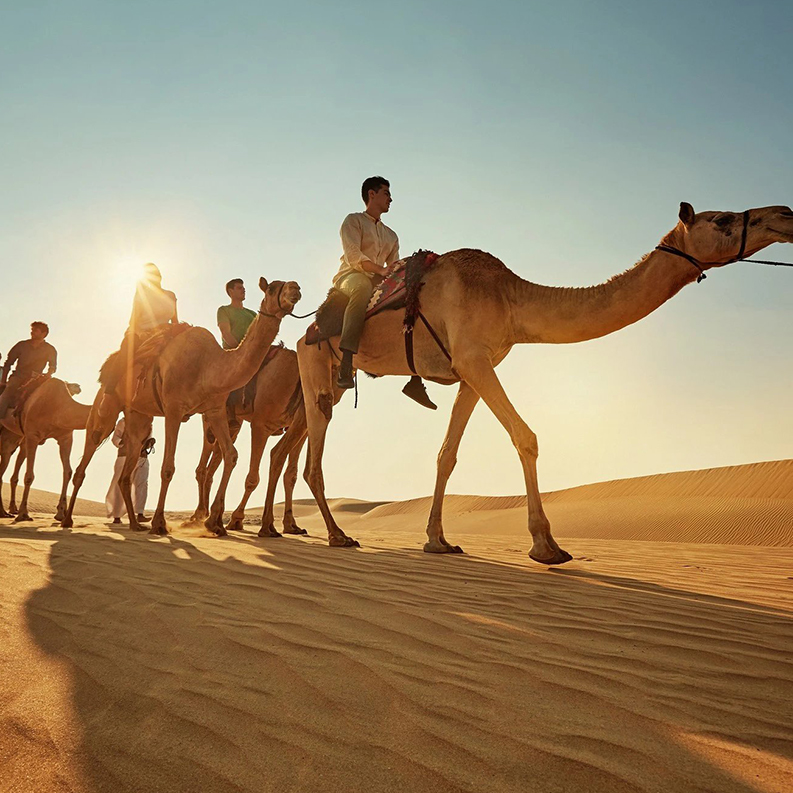 Half day desert safari companies in Qatar
