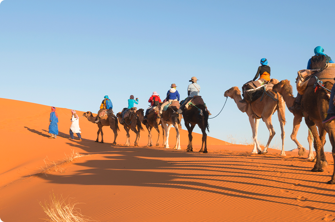 Sunrise desert safari providers in Qatar