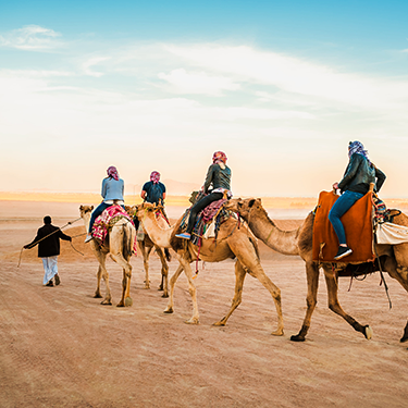 Sunrise desert safari services in Qatar